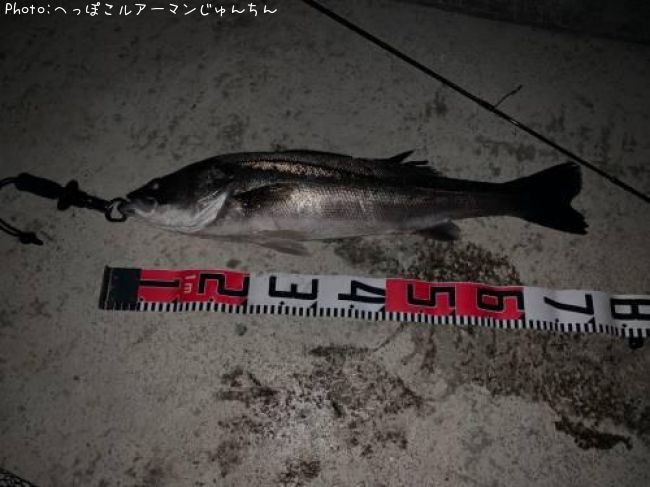 �����Х�