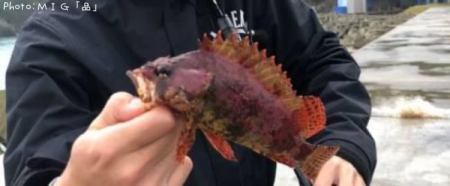 �������Х�