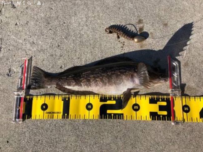 �����ʥ�