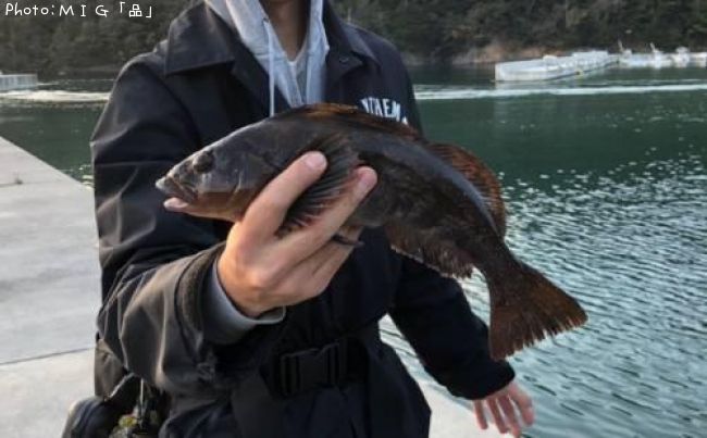 �����ʥ�