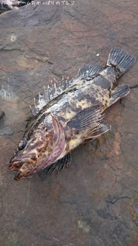 �����Υ���Х�