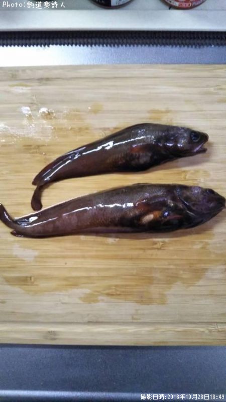 �ɥ󥳡ʥ������������ʥ��