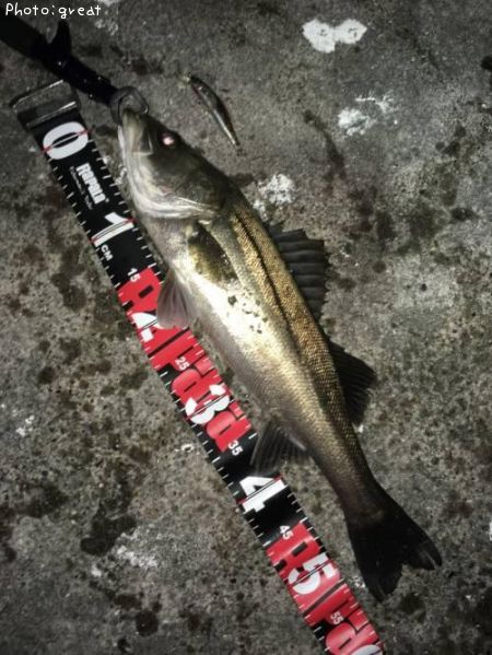 �����Х�