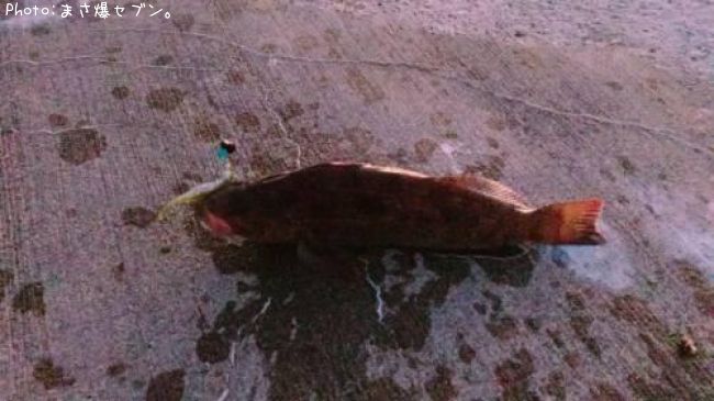 �����ʥ�