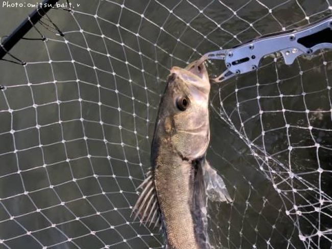 �����Х�