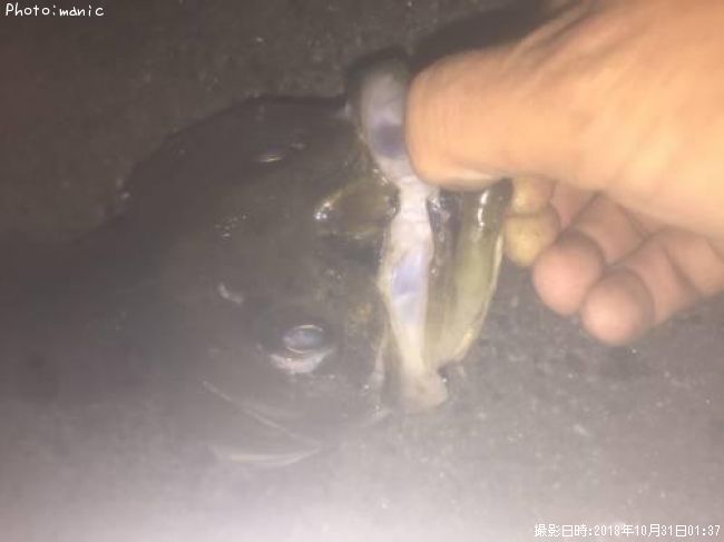 �����Х�