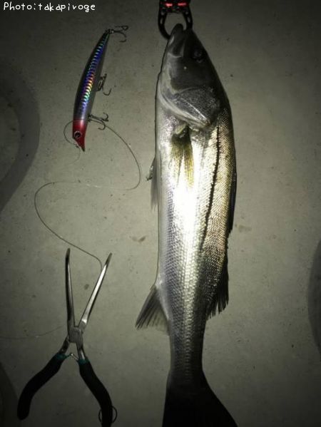 �����Х�