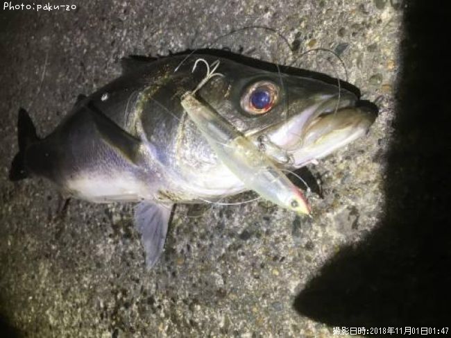 �����Х�