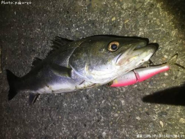 �����Х�