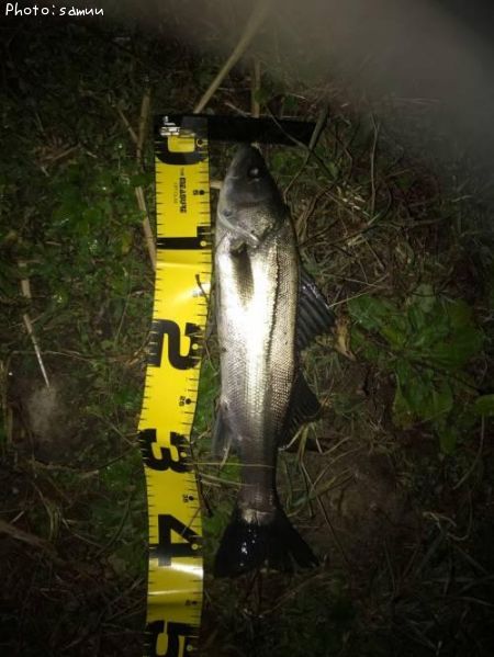 �����Х�