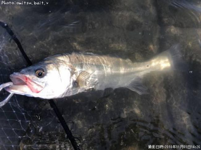 �����Х�