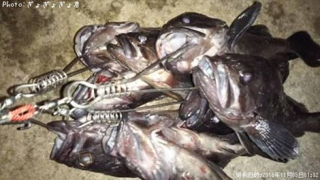 ��������