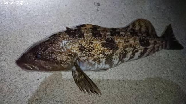 �����ʥ�