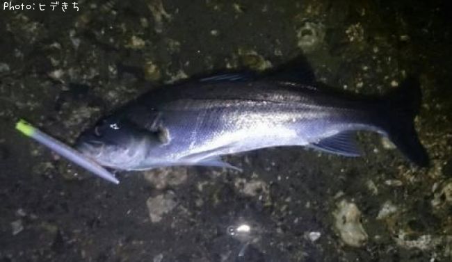 �����Х�