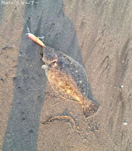 �ҥ��ʥ�����