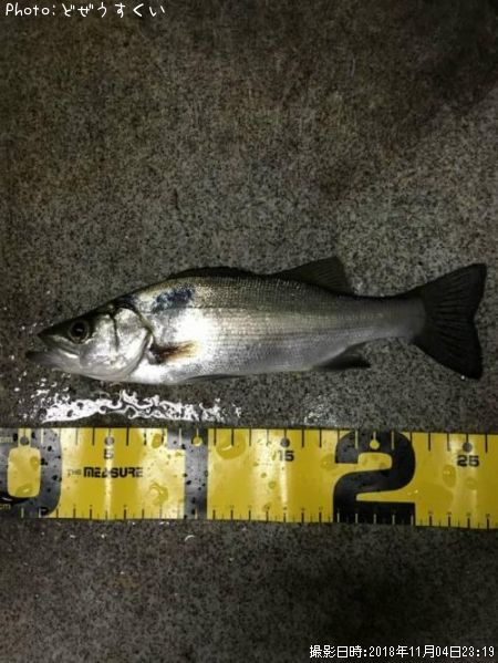 �����Х��ʥҥ饻������