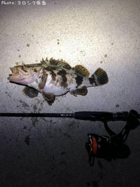 �����Υ���Х�