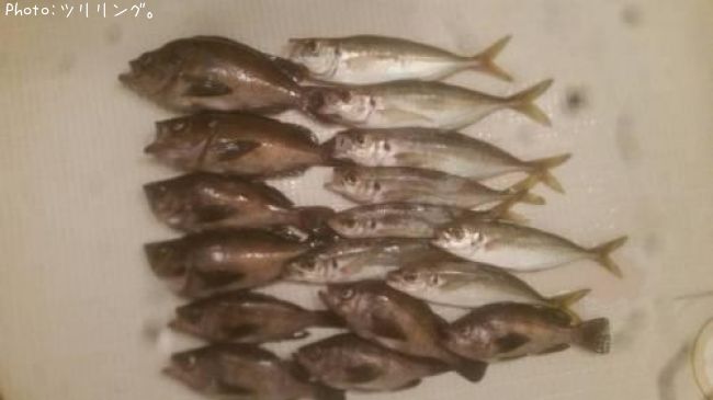 �����ȥ�Х�