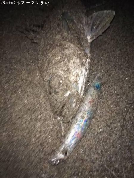 �����Х�