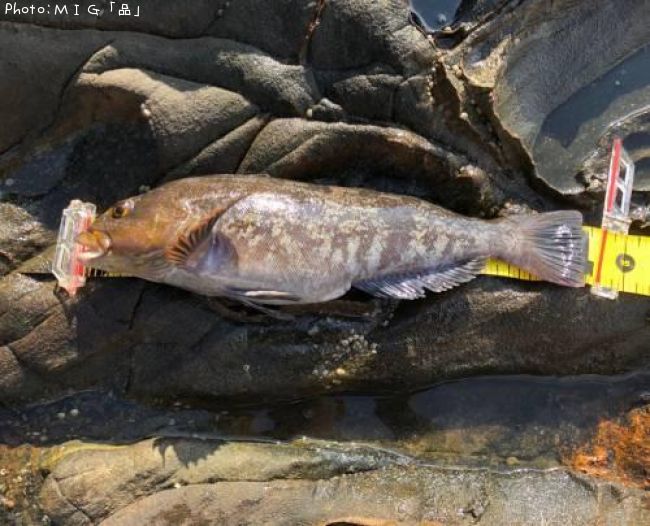 �����ʥ�