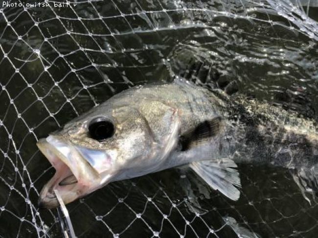 �����Х�