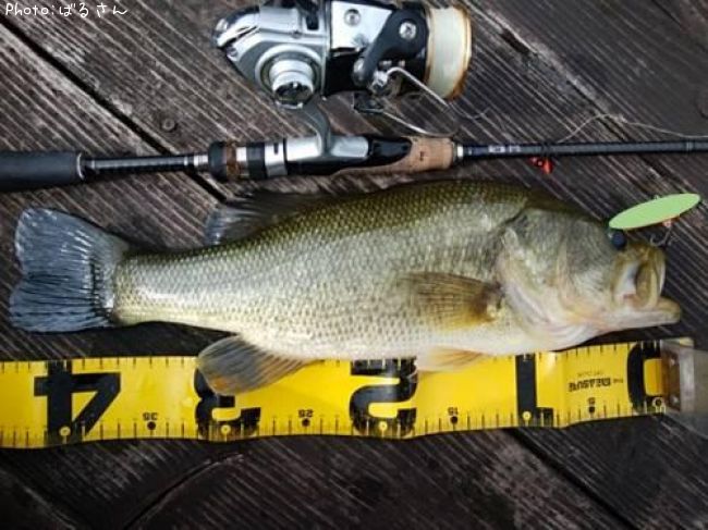 �֥�å��Х�