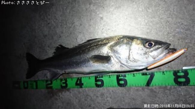 �����Х�