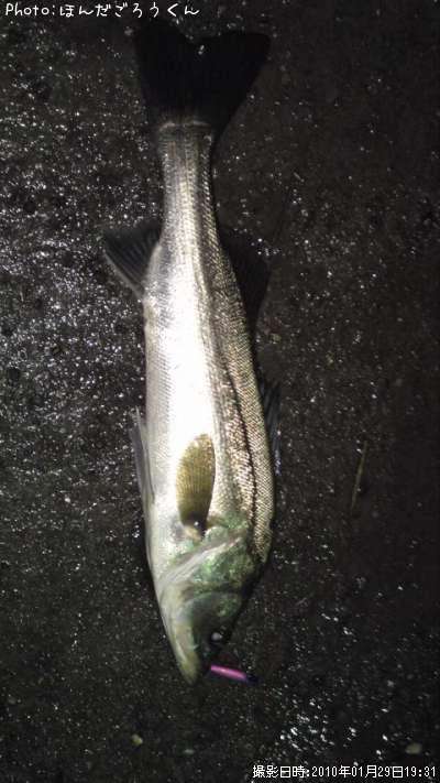 �����Х�