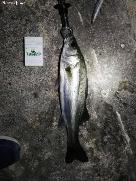 �����Х�