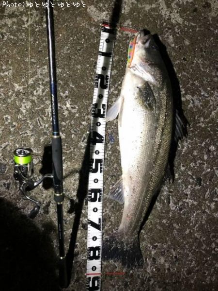 �����Х�