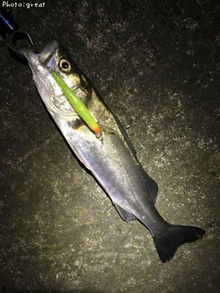 �����Х�