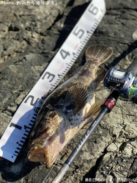 �٥å�������