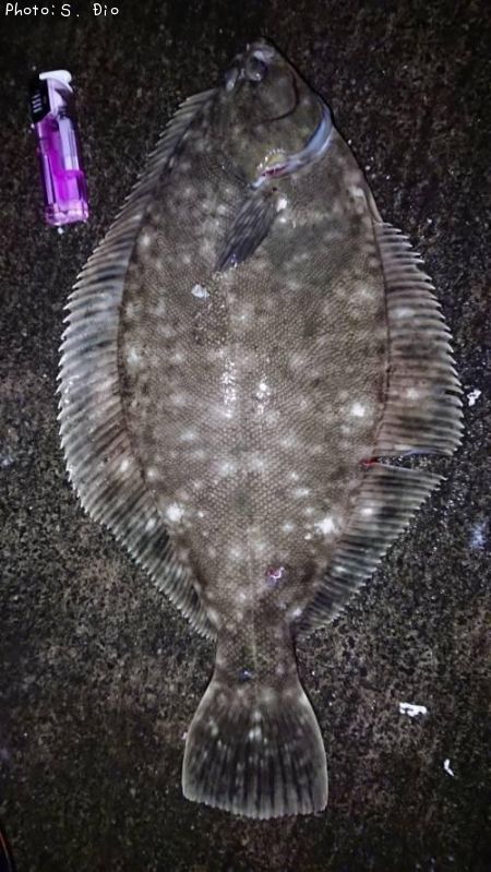 �ޥ����쥤