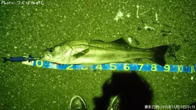 �����Х�