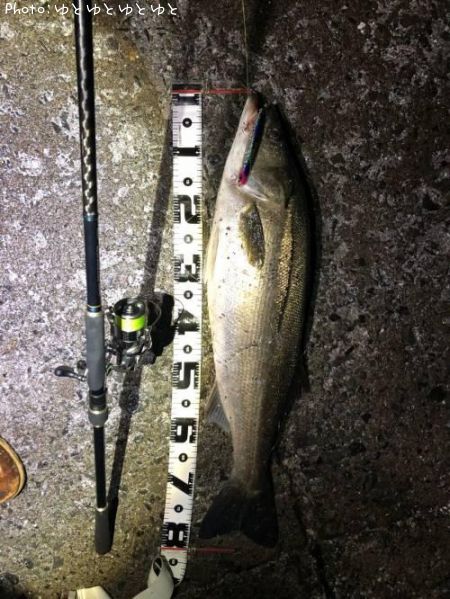 �����Х�