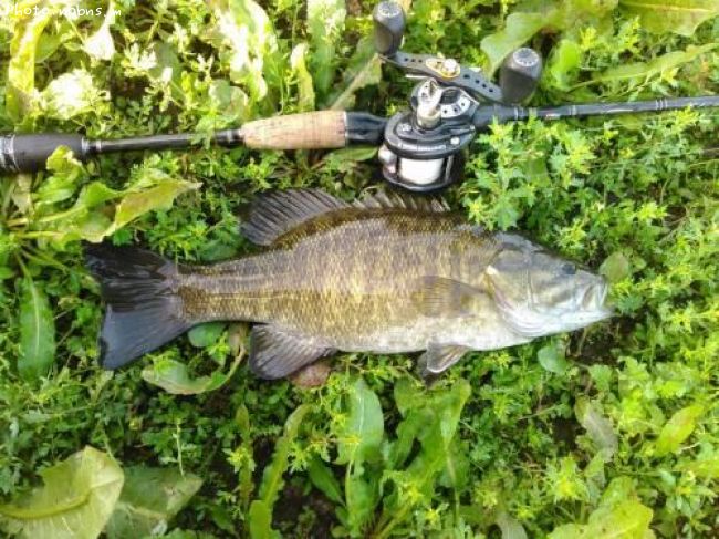 �֥�å��Х�