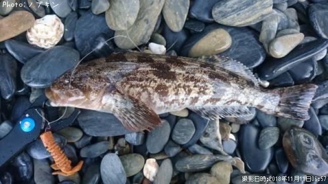 �����ʥ�