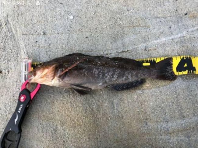 �����ʥ�