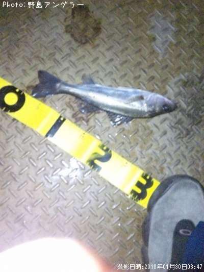 �����Х�