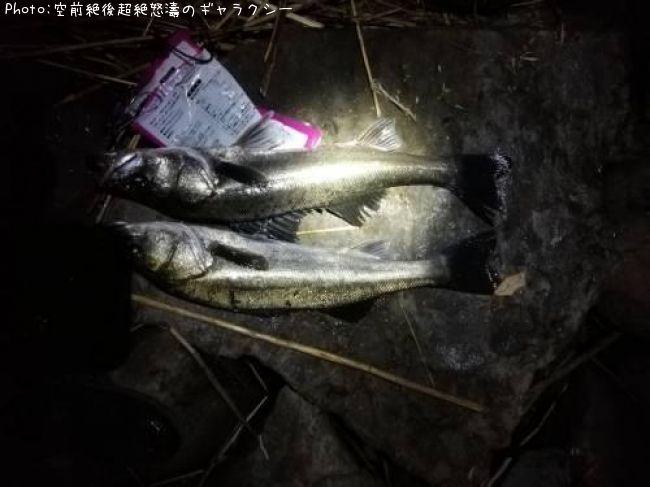 �����Х�