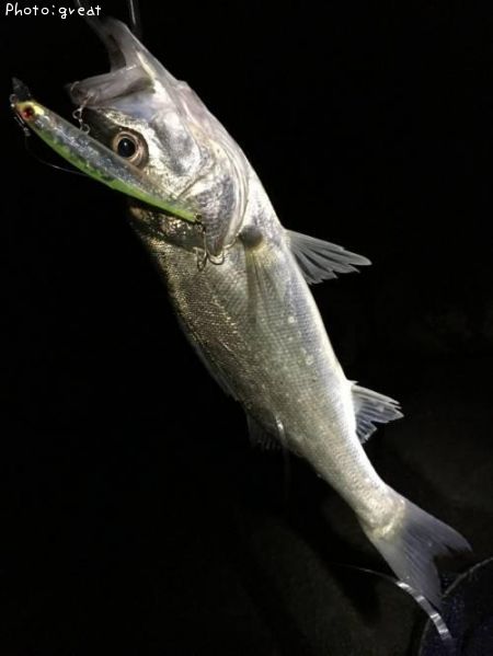 �����Х�