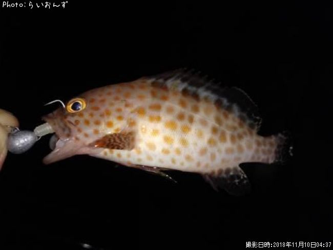 �������ϥ�