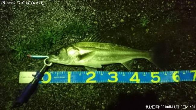 �����Х�