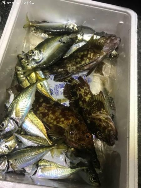 ������������