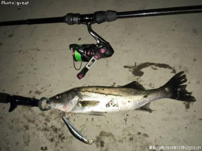 �����Х�