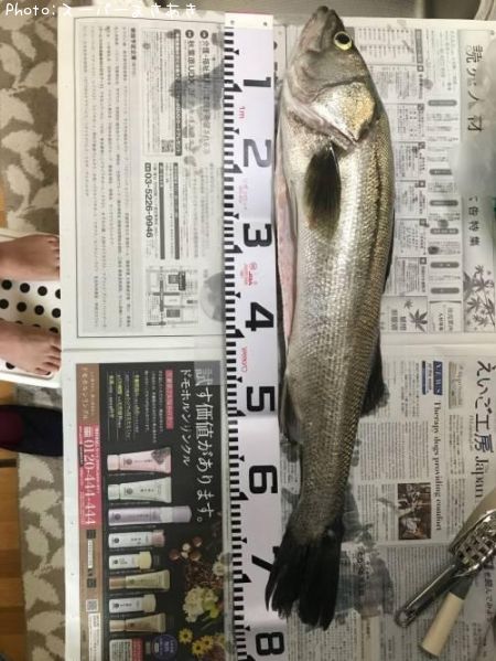 �����Х�