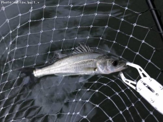 �����Х�