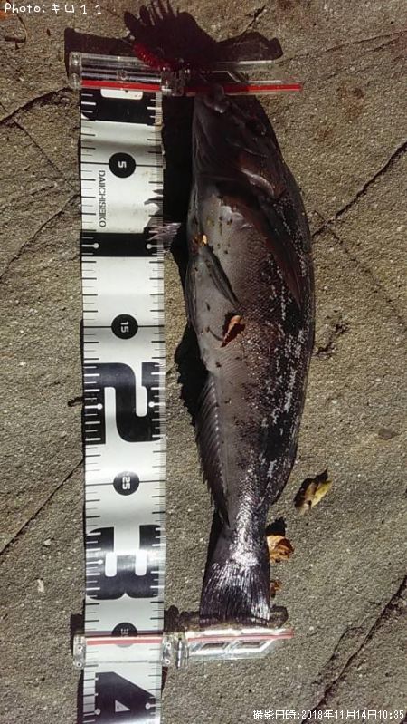 �����ʥ�