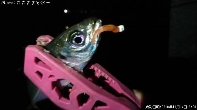 ��������Х�