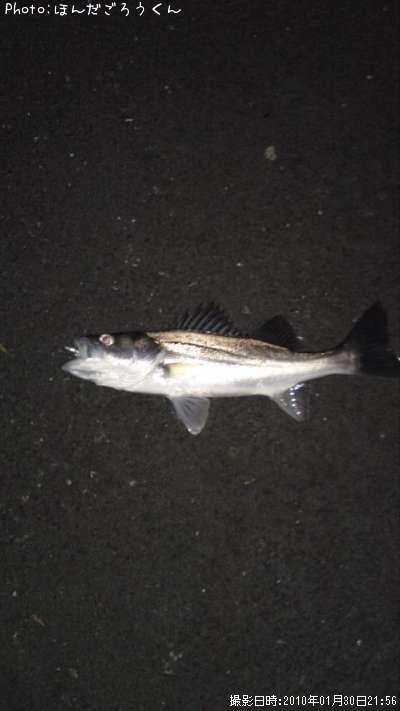 �����Х�